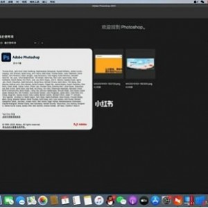 Adobe全家桶「Adobe2021」mac版